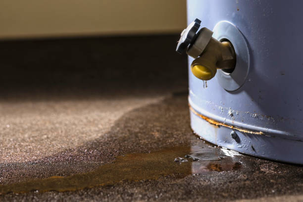 White Horse, NJ Water damage restoration Pros