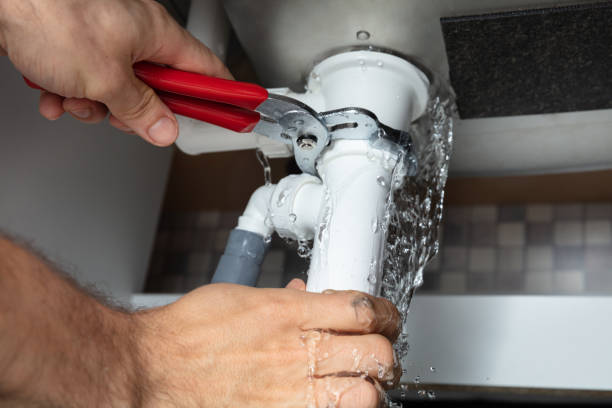 Best Flood damage cleanup  in White Horse, NJ