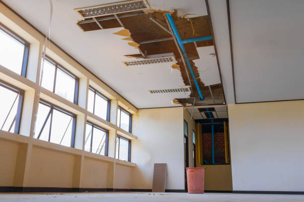 Best 24/7 water damage repair  in White Horse, NJ