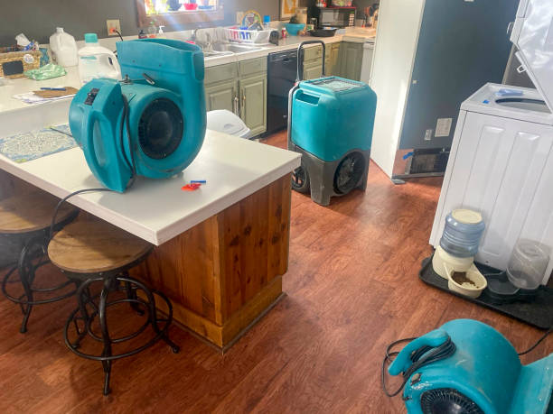 Best Professional water damage repair  in White Horse, NJ
