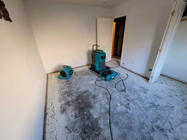 Best Carpet water damage restoration  in White Horse, NJ
