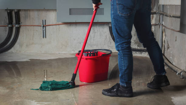 Best Water damage cleanup near me  in White Horse, NJ
