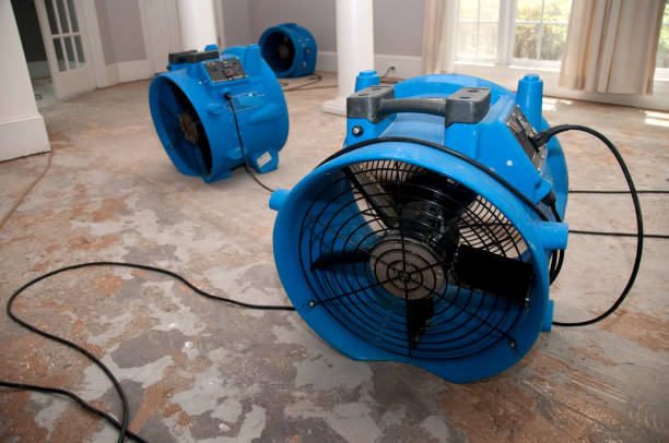 Best Water damage restoration services  in White Horse, NJ