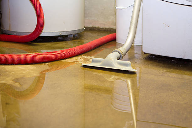 Best Ceiling water damage repair  in White Horse, NJ