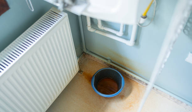 Best Water damage restoration near me  in White Horse, NJ